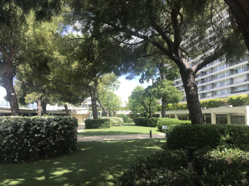 acupuncture acupuncteur marseille