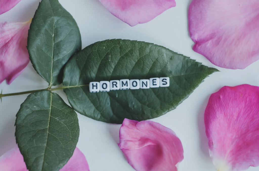 Une séance d'acupuncture en cours : une patiente allongée sur une table de soin reçoit de fines aiguilles placées sur des points stratégiques du corps pour rééquilibrer ses hormones et favoriser son bien-être.